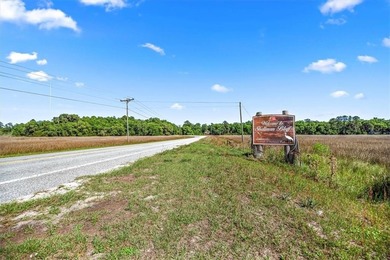 LAST REMAINING DEEP WATER LOT FOR SALE IN SUTHERLAND BLUFF on Sapelo Hammock Golf Club in Georgia - for sale on GolfHomes.com, golf home, golf lot