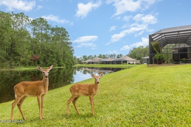 Located in the prestigious guard-gated Spruce Creek Fly-In on Spruce Creek Golf Club in Florida - for sale on GolfHomes.com, golf home, golf lot