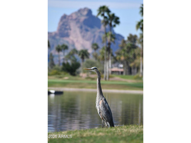 This move-in-ready, Lovely, fully remodeled, 3BD/2BA home on McCormick Ranch Golf Club in Arizona - for sale on GolfHomes.com, golf home, golf lot