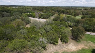 Gorgeous views, gorgeous double lot, gorgeous golf course views on White Bluff Resort - Old Course in Texas - for sale on GolfHomes.com, golf home, golf lot