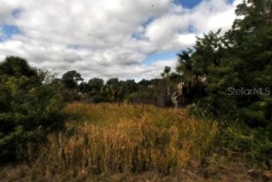 Discover the perfect opportunity to create your own slice of on Bobcat Trail Golf Club in Florida - for sale on GolfHomes.com, golf home, golf lot