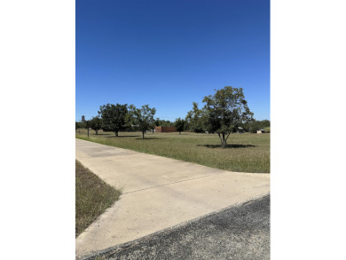 Cleared Lot in Established Llano Subdivision  Don't miss this on Llano River Golf Course in Texas - for sale on GolfHomes.com, golf home, golf lot