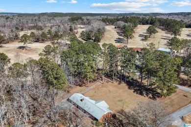 Come see the perfect home for entertaining! 4-sides brick home on Cahaba Shoals Country Club in Alabama - for sale on GolfHomes.com, golf home, golf lot