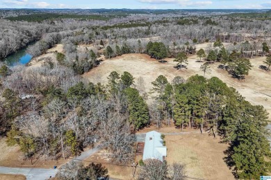 Come see the perfect home for entertaining! 4-sides brick home on Cahaba Shoals Country Club in Alabama - for sale on GolfHomes.com, golf home, golf lot