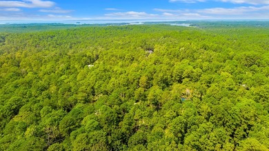 Nestled in the serene embrace of Rayburn Country Resort on Lake on Rayburn Country Club in Texas - for sale on GolfHomes.com, golf home, golf lot