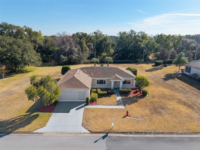 PRICE TO SELL!!  Ready for a New Homeowner!!  Two Large on Eagle Ridge At Spruce Creek Country Club in Florida - for sale on GolfHomes.com, golf home, golf lot