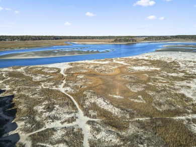 Fall in love with this 3-bedroom, 2.5-bath home in the heart of on Tidewater Golf Club and Plantation in South Carolina - for sale on GolfHomes.com, golf home, golf lot