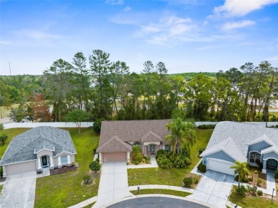 Immaculate 3-Bedroom Pool Home in River Ridge Country Club - on River Ridge Golf Club in Florida - for sale on GolfHomes.com, golf home, golf lot