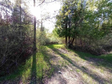 Discover Your Private Paradise in Sugar Springs! Don't miss this on Sugar Springs Country Club in Michigan - for sale on GolfHomes.com, golf home, golf lot