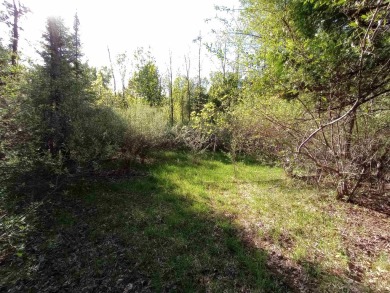 Discover Your Private Paradise in Sugar Springs! Don't miss this on Sugar Springs Country Club in Michigan - for sale on GolfHomes.com, golf home, golf lot
