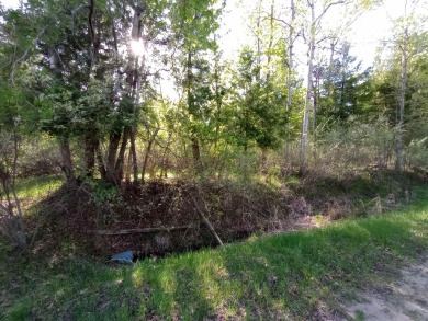 Discover Your Private Paradise in Sugar Springs! Don't miss this on Sugar Springs Country Club in Michigan - for sale on GolfHomes.com, golf home, golf lot
