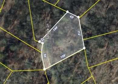 One of the best lot available on Beech Mtn. Lot sits above the on Beech Mountain Club in North Carolina - for sale on GolfHomes.com, golf home, golf lot