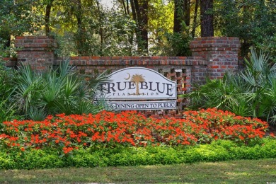 Come for the perfect getaway at your Pawleys Island retreat in on True Blue Plantation in South Carolina - for sale on GolfHomes.com, golf home, golf lot