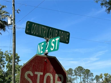 39 ACRE (mol) BUILDING LOT. Corner lot on paved road in the on Williston Highlands Golf and Country Club in Florida - for sale on GolfHomes.com, golf home, golf lot