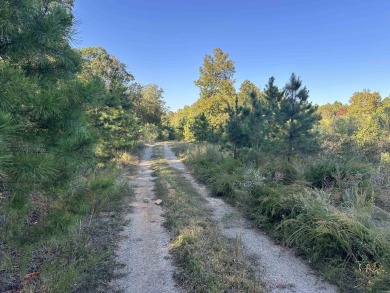 This beautiful 40 acres nestled in the hills of Cleburne County on Tannenbaum Golf Club in Arkansas - for sale on GolfHomes.com, golf home, golf lot