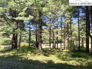Welcome to your very own private oasis in the town of Boone, NC on Boone Golf Club in North Carolina - for sale on GolfHomes.com, golf home, golf lot