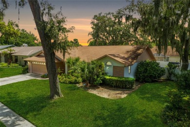 Nestled in the sought-after Buckhorn Golf Community, this on Buckhorn Springs Golf and Country Club in Florida - for sale on GolfHomes.com, golf home, golf lot