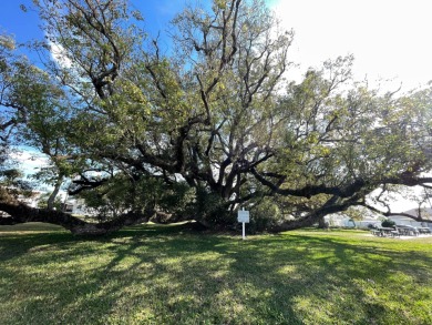 Even if you don't play, you will enjoy watching the golf course on Heather Hills Golf Course in Florida - for sale on GolfHomes.com, golf home, golf lot