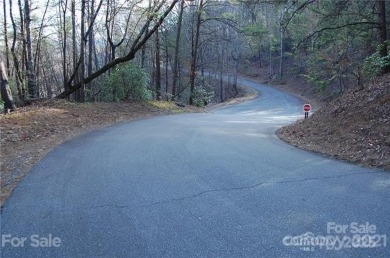 LOCATION & MOUNTAIN VIEWS! GREAT UP-CLOSE VIEWS of YOUNG's on Rumbling Bald Resort on Lake Lure in North Carolina - for sale on GolfHomes.com, golf home, golf lot