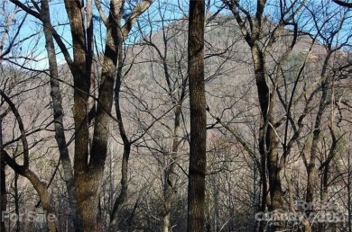 LOCATION & MOUNTAIN VIEWS! GREAT UP-CLOSE VIEWS of YOUNG's on Rumbling Bald Resort on Lake Lure in North Carolina - for sale on GolfHomes.com, golf home, golf lot