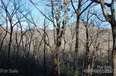 LOCATION & MOUNTAIN VIEWS! GREAT UP-CLOSE VIEWS of YOUNG's on Rumbling Bald Resort on Lake Lure in North Carolina - for sale on GolfHomes.com, golf home, golf lot