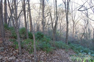 LOCATION & MOUNTAIN VIEWS! GREAT UP-CLOSE VIEWS of YOUNG's on Rumbling Bald Resort on Lake Lure in North Carolina - for sale on GolfHomes.com, golf home, golf lot