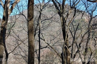 LOCATION & MOUNTAIN VIEWS! GREAT UP-CLOSE VIEWS of YOUNG's on Rumbling Bald Resort on Lake Lure in North Carolina - for sale on GolfHomes.com, golf home, golf lot