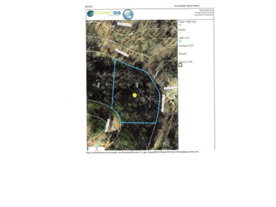 LOCATION & MOUNTAIN VIEWS! GREAT UP-CLOSE VIEWS of YOUNG's on Rumbling Bald Resort on Lake Lure in North Carolina - for sale on GolfHomes.com, golf home, golf lot