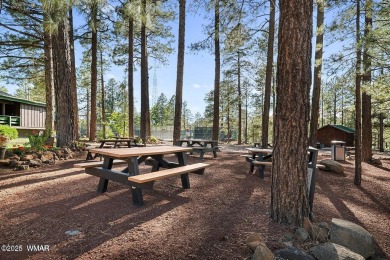 This perfect, cozy cabin is surrounded by Ponderosa Pines and on Pinetop Lakes Golf and Country Club in Arizona - for sale on GolfHomes.com, golf home, golf lot