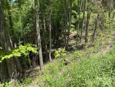 This home site is one of the largest at Mountain Air. It is also on Mountain Air Country Club in North Carolina - for sale on GolfHomes.com, golf home, golf lot