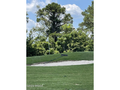 Beautifully positioned .59 acre residential lot in a cul-de-sac on Southern Hills Golf Club in Georgia - for sale on GolfHomes.com, golf home, golf lot