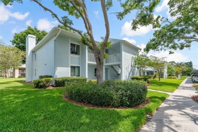 Maintenance-Free Living in East Lake Woodlands - Pinellas on East Lake Woodlands Country Club in Florida - for sale on GolfHomes.com, golf home, golf lot
