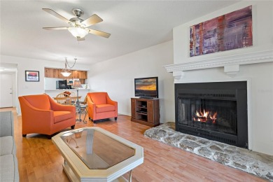 Maintenance-Free Living in East Lake Woodlands - Pinellas on East Lake Woodlands Country Club in Florida - for sale on GolfHomes.com, golf home, golf lot