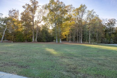 Welcome to Occano. A gated Arnold Palmer Signature Golf Course on Occano Golf Course in North Carolina - for sale on GolfHomes.com, golf home, golf lot