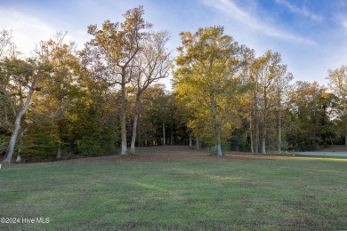 Welcome to Occano. A gated Arnold Palmer Signature Golf Course on Occano Golf Course in North Carolina - for sale on GolfHomes.com, golf home, golf lot