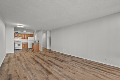 Stunning High-Rise Condo in the Heart of Chicago - Move-In on South Shore Cultural Ctr. Golf Course in Illinois - for sale on GolfHomes.com, golf home, golf lot