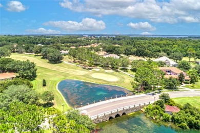 One or more photo(s) has been virtually staged. Back on the on Mission Inn Resort and Club in Florida - for sale on GolfHomes.com, golf home, golf lot