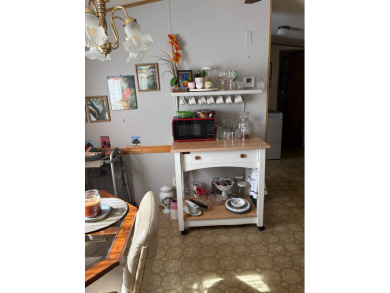 -Updated bathroom with walk-in shower- -Large, quiet corner lot- on Sebring Lakeside Golf Resort in Florida - for sale on GolfHomes.com, golf home, golf lot