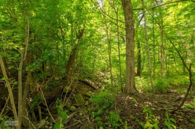 Your new lot sits on almost an acre. Your lot is wooded with a on Whitetail Ridge Golf Course in Illinois - for sale on GolfHomes.com, golf home, golf lot