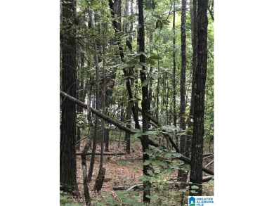 Restrictive Covenants apply. Fairway lot on Alpine Bay Resort in Alabama - for sale on GolfHomes.com, golf home, golf lot