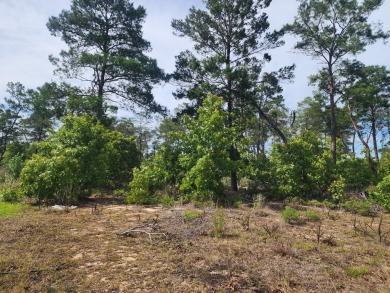 Welcome to 60 Corkwood Court, an expansive .87-acre homesite on Windswept Dunes Golf Club in Florida - for sale on GolfHomes.com, golf home, golf lot