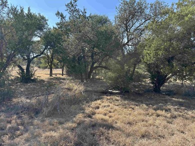 Located in the sought-after Thanksgiving Mountain neighborhood on Slick Rock Golf Course - Horseshoe Bay in Texas - for sale on GolfHomes.com, golf home, golf lot