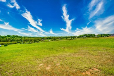 ** OPEN HOUSE** Saturday August 23rd - 1pm- 3pm**Back on the on Hidden Valley Golf Links in Missouri - for sale on GolfHomes.com, golf home, golf lot