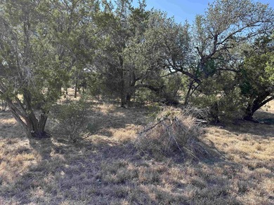 Located in the sought-after Thanksgiving Mountain neighborhood on Slick Rock Golf Course - Horseshoe Bay in Texas - for sale on GolfHomes.com, golf home, golf lot
