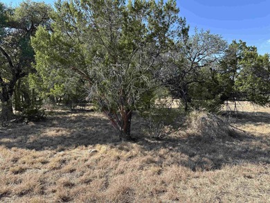 Located in the sought-after Thanksgiving Mountain neighborhood on Slick Rock Golf Course - Horseshoe Bay in Texas - for sale on GolfHomes.com, golf home, golf lot