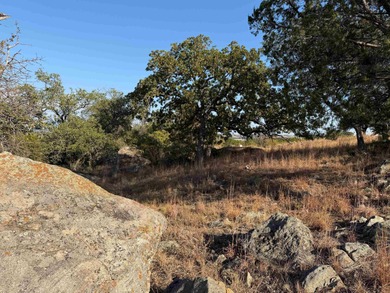 Looking for a lot with stunning views, mature trees, and rolling on Ram Rock Golf Course in Texas - for sale on GolfHomes.com, golf home, golf lot