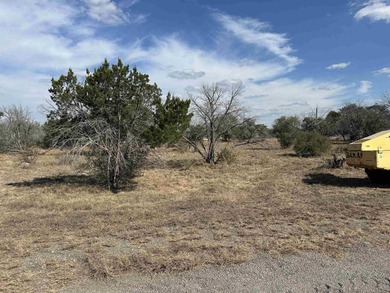 This level and mostly cleared lot offers a serene setting on Slick Rock Golf Course - Horseshoe Bay in Texas - for sale on GolfHomes.com, golf home, golf lot