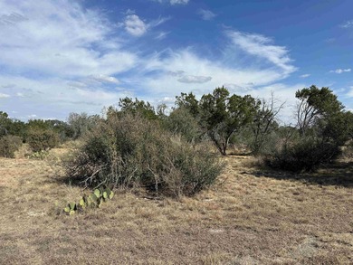 This level and mostly cleared lot offers a serene setting on Slick Rock Golf Course - Horseshoe Bay in Texas - for sale on GolfHomes.com, golf home, golf lot