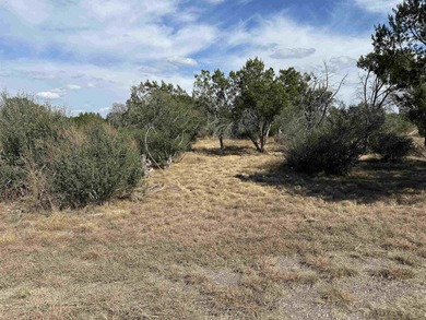 This level and mostly cleared lot offers a serene setting on Slick Rock Golf Course - Horseshoe Bay in Texas - for sale on GolfHomes.com, golf home, golf lot