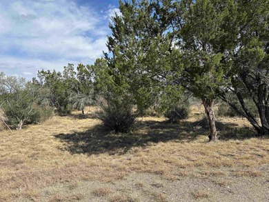 This level and mostly cleared lot offers a serene setting on Slick Rock Golf Course - Horseshoe Bay in Texas - for sale on GolfHomes.com, golf home, golf lot